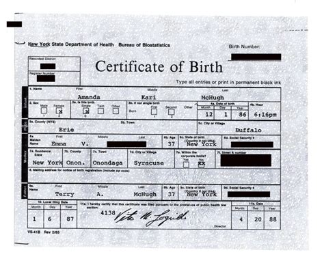 rensselaer county birth certificate.
